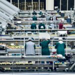 FOOD-PRODUCTION-POSITIONS