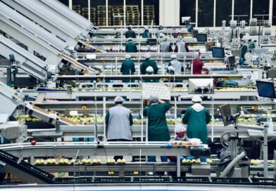 FOOD-PRODUCTION-POSITIONS