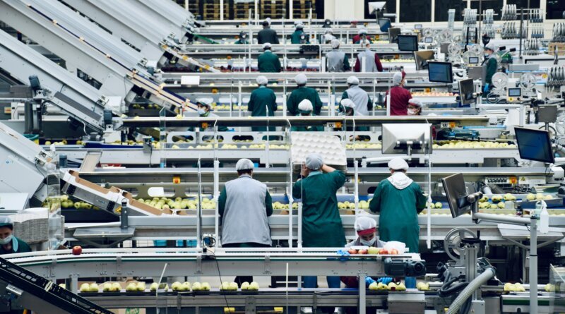 FOOD-PRODUCTION-POSITIONS